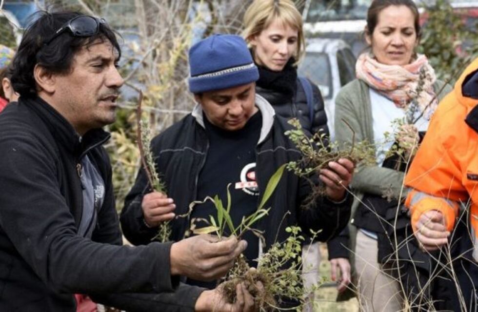 Escuelas públicas y privadas podrán visitar la huerta del CPE