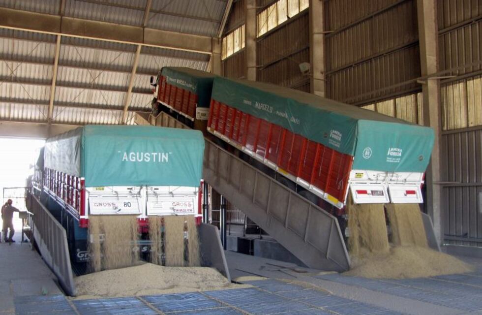 Denuncian un "gran negocio financiero" detrás de la entrega de cupos para descarga de granos