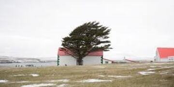 Foto tomada por Gonzalo Lauda en las Islas Malvinas durante el invierno de 2015\u002E