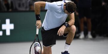 El argentino Juan Martín del Potro