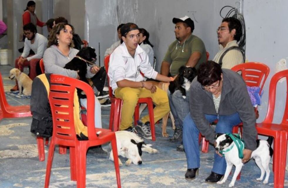 Se realizó la primera jornada de castración masiva de este año