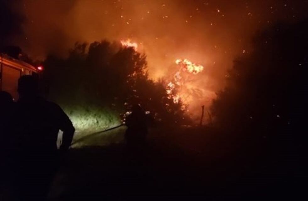 White: los bomberos extinguieron un gran incendio a metros de una casa