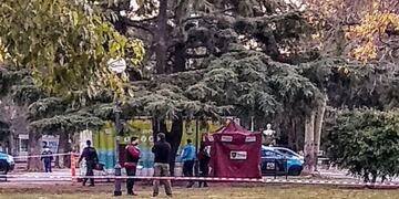 Un cuerpo fue encontrado en Parque Saavedra (Web)
