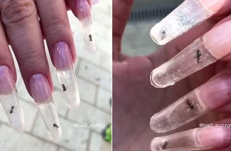 Usaron hormigas vivas para decorar uñas y las redes sociales estallaron de bronca
