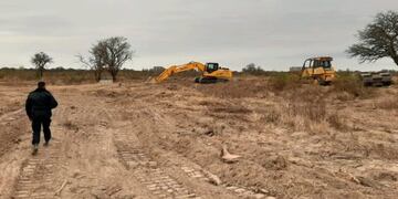 Tala ilegal de monte en Córdoba (Villa María Ya)