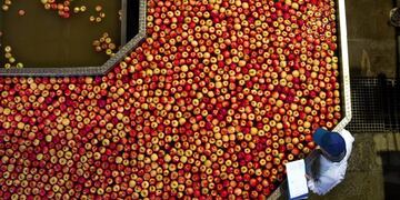 Un documental aborda los pormenores de los procesos de la producción de alimentos\u002E