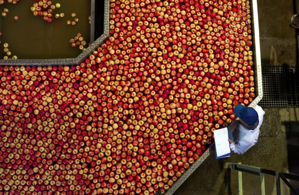 ¿Nos están dañando los alimentos que consumimos?