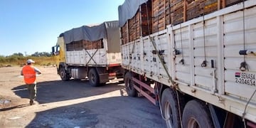 transporte