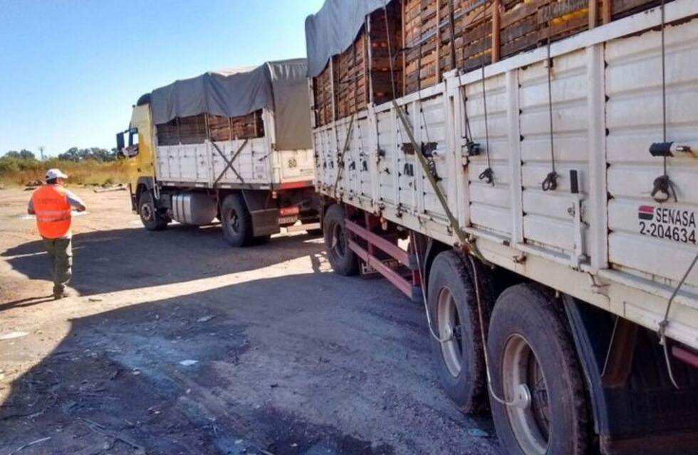 Decomisan productos vencidos en General Ocampo