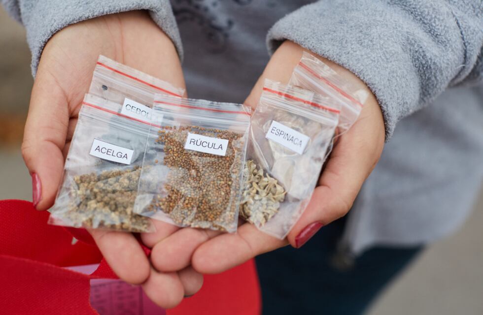 INTA y la Secretaría de Desarrollo Social entregan semillas: Cronograma