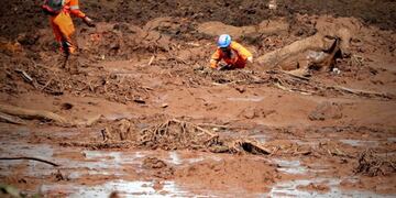 Bomberos ayudan a salir del lodo a una vaca este domingo durante las labores de búsqueda y rescate de las víctimas de la rotura de represa de la compañía Vale, en Brumadinho, municipio de Minas Gerais (Brasil)\u002E  EFE/Antonio Lacerda