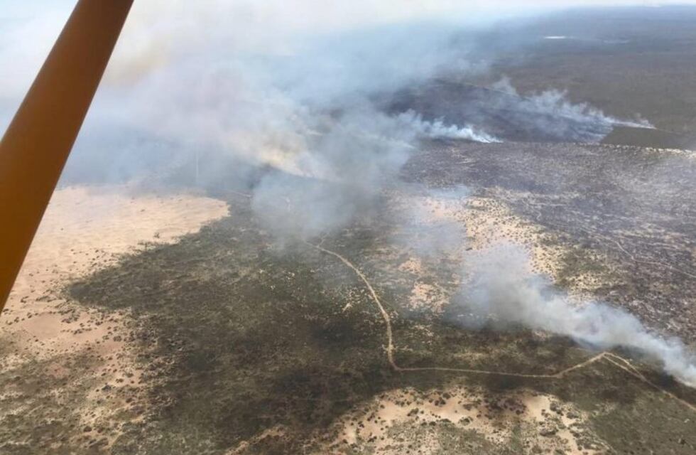Intenso trabajo sobre las áreas afectadas por incendios en Río Negro