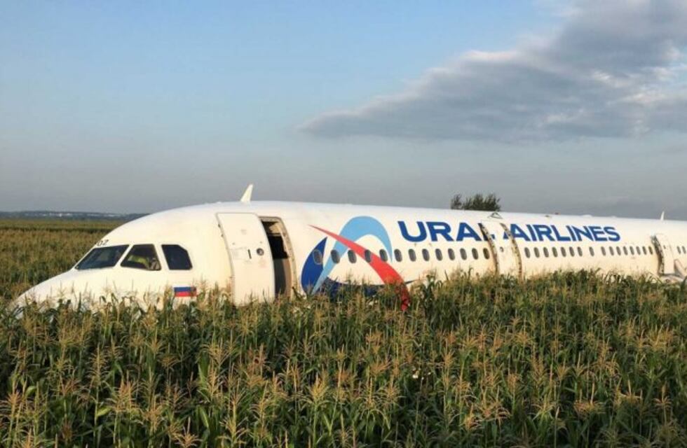 En Rusia, un avión chocó con una bandada de pájaros y tuvo que aterrizar de emergencia: hay  23 heridos