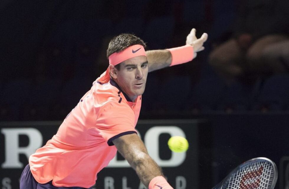 Del Potro venció a Goffin y pasó a los cuartos de final del ATP 500 de Basilea