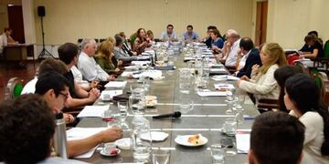 El Consejo Superior de la UNNE aprobó el proyecto\u002E (Prensa UNNE)