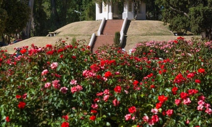 Rosedal del Parque Independencia\u002E (Municipalidad de Rosario)