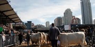 Edición de la exposición rural