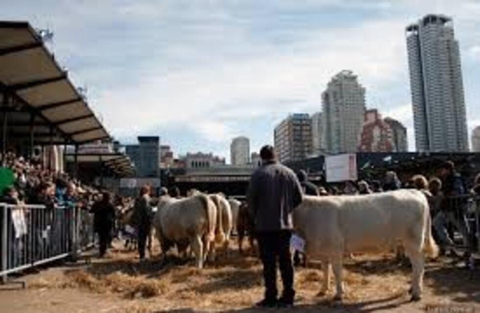 Tierra del Fuego estará presente en la 133° Edición de la Exposición Rural