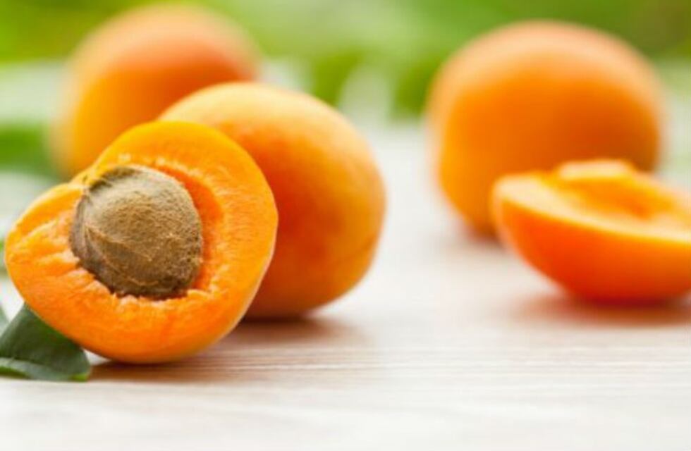 El poder del damasco para el cabello