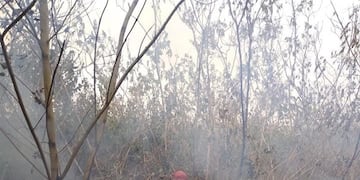 Quema de pastizales\u002E