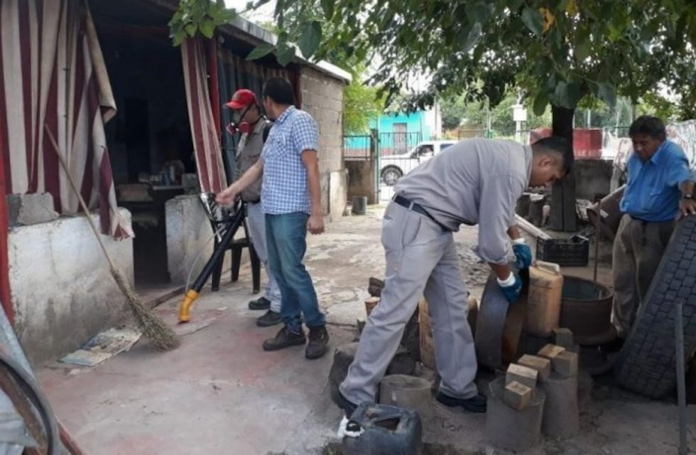 90 ovitrampas fueron colocadas para estudiar el desarrollo y comportamiento del Aedes Aegypti