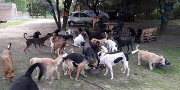 Refugio El montecito de los Canichones (Web)