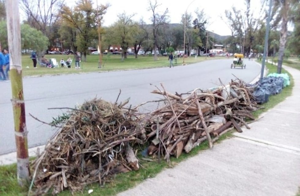 Junio: cronograma de recolección de residuos voluminosos