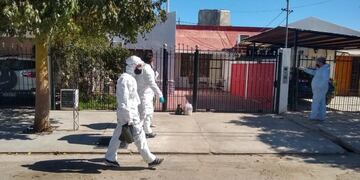 Equipos interdisciplinarios realizan tareas de asistencia\u002E