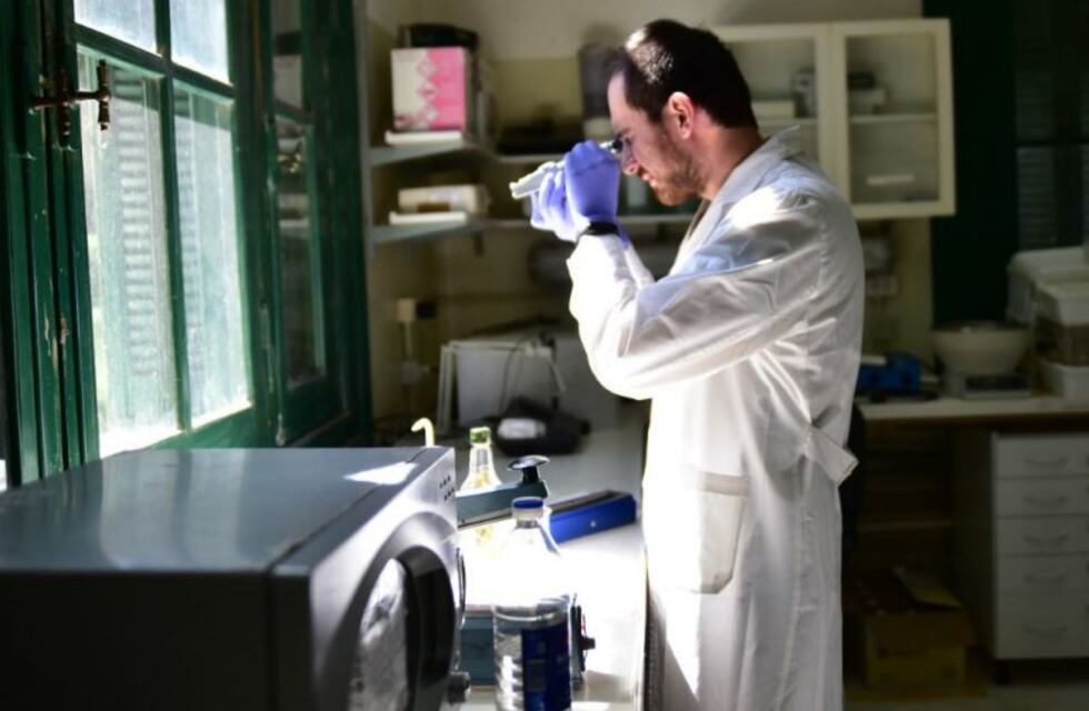 Lucha contra el coronavirus: se financiarán nueve proyectos cordobeses