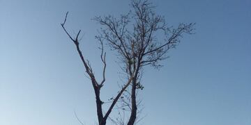 Amanecer diáfano en un día de primavera cualquiera\u002E (Vía Rafaela)