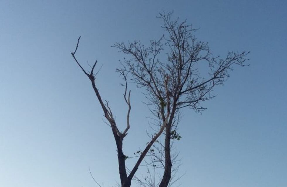 El regreso de la primavera durará poco