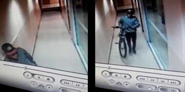 El robo quedó registrado en las cámaras de seguridad\u002E (Captura)
