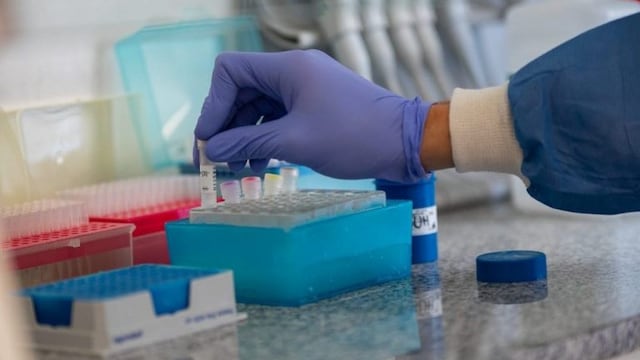 Se registraron 31 infectados y un nuevos fallecido por Coronavirus en Misiones