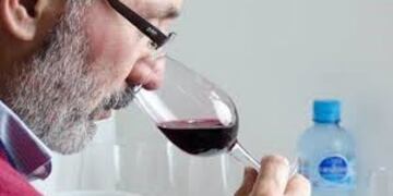 se lanzó la 22ª edición de la Evaluación de Vinos de San Juan (EVISAN)\u002E