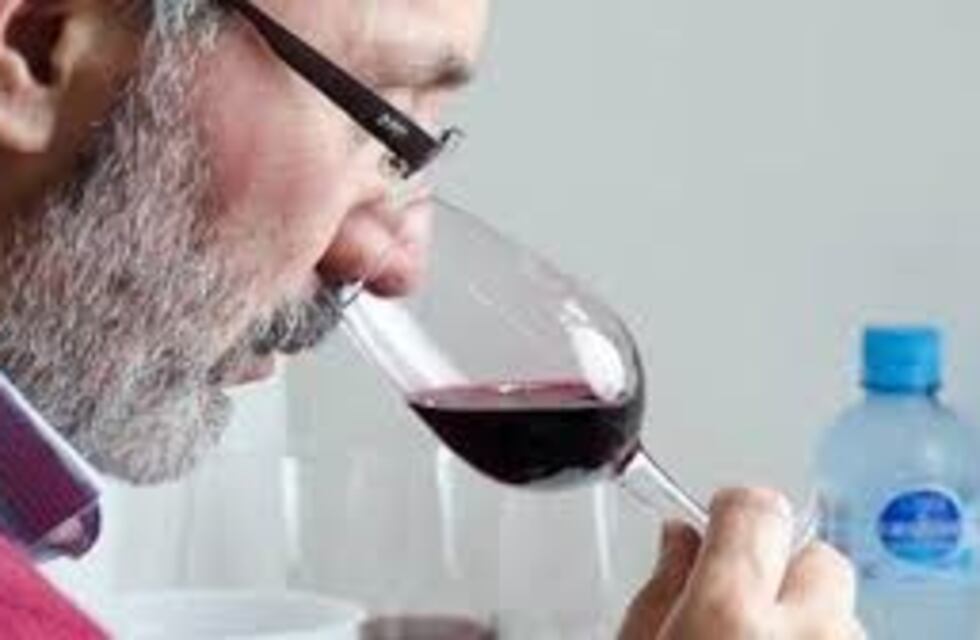 Un viñedo puntano fue premiado en el Concurso Nacional de Vino Casero y Artesanal