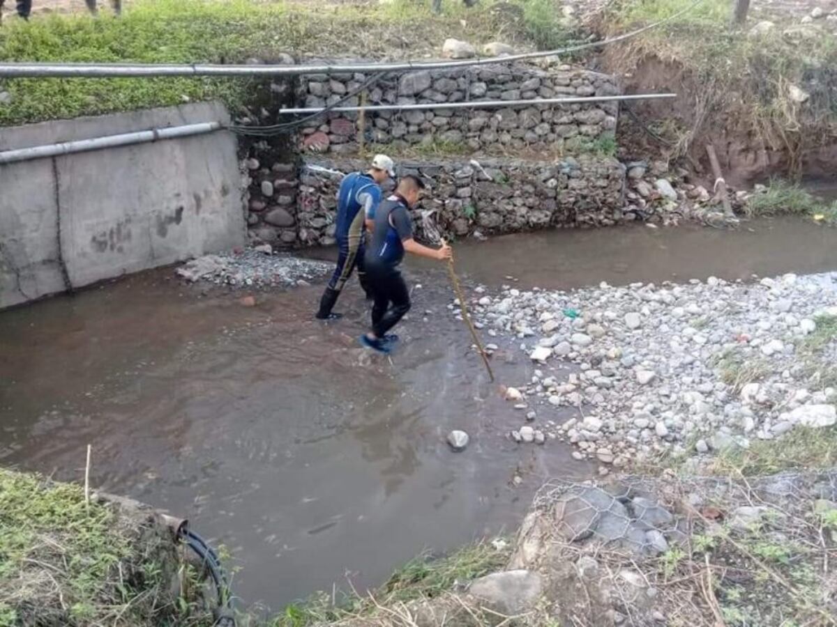 Buscan a María Machuca en Libertador