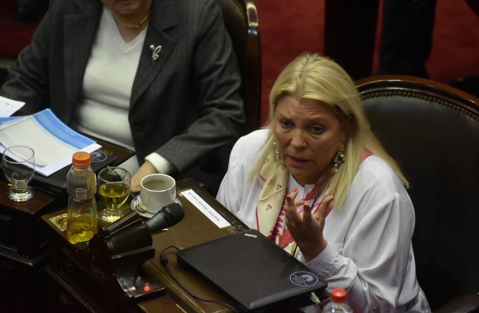 Carrió: "Detesto que el Ejecutivo haga todo y nosotros vengamos sólo a ratificar"