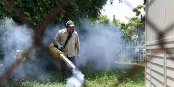 Sigue la fumigación en la capital para evitar la propagación del dengue\u002E (Web)\u002E