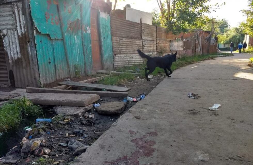 Seguirá preso el imputado por matar a una adolescente en Villa Banana
