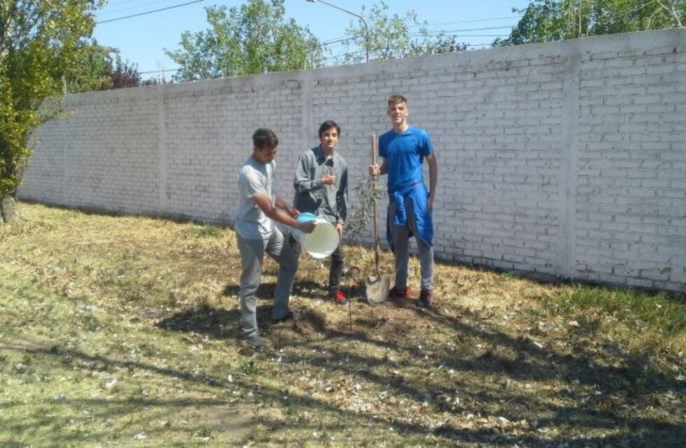 Arrancó el proyecto "Hacia un vivero en cada escuela"
