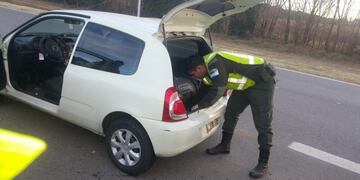 La droga fue secuestrada por Gendarmería Nacional en Río Cuarto\u002E