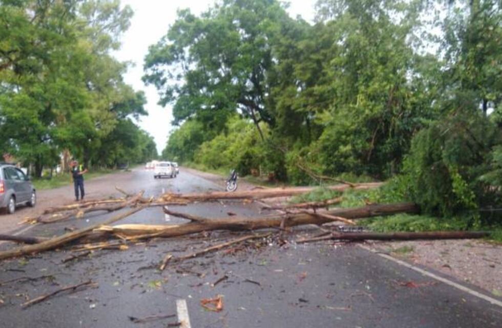 Luego de las fuertes tormentas de ayer, el Comité de Emergencia trabaja en las zonas afectadas