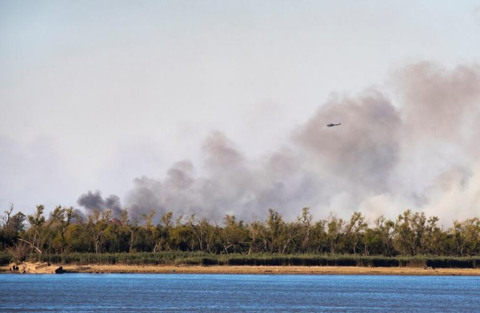 Peces se están devorando ratones que huyen del fuego de las islas