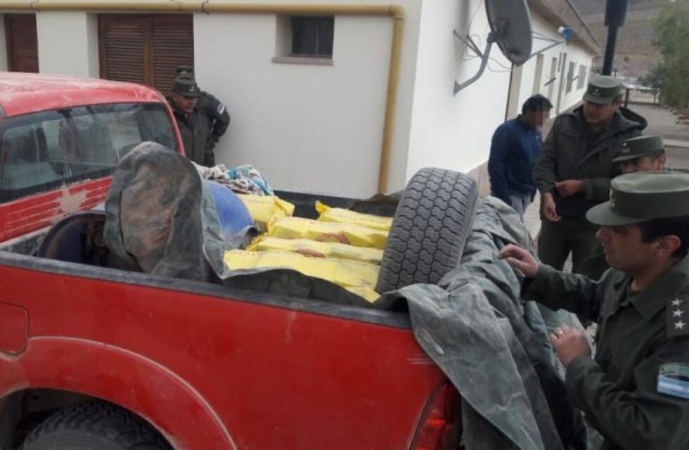 Gendarmería secuestró 190 kilos de marihuana cerca de Tolar Grande