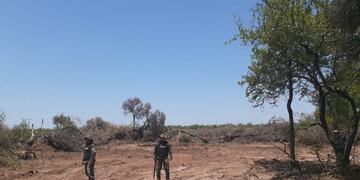 Desmonte ilegal en Chaco: descubrieron topadoras que arrasaron con 750 hectáreas en Los Frentones