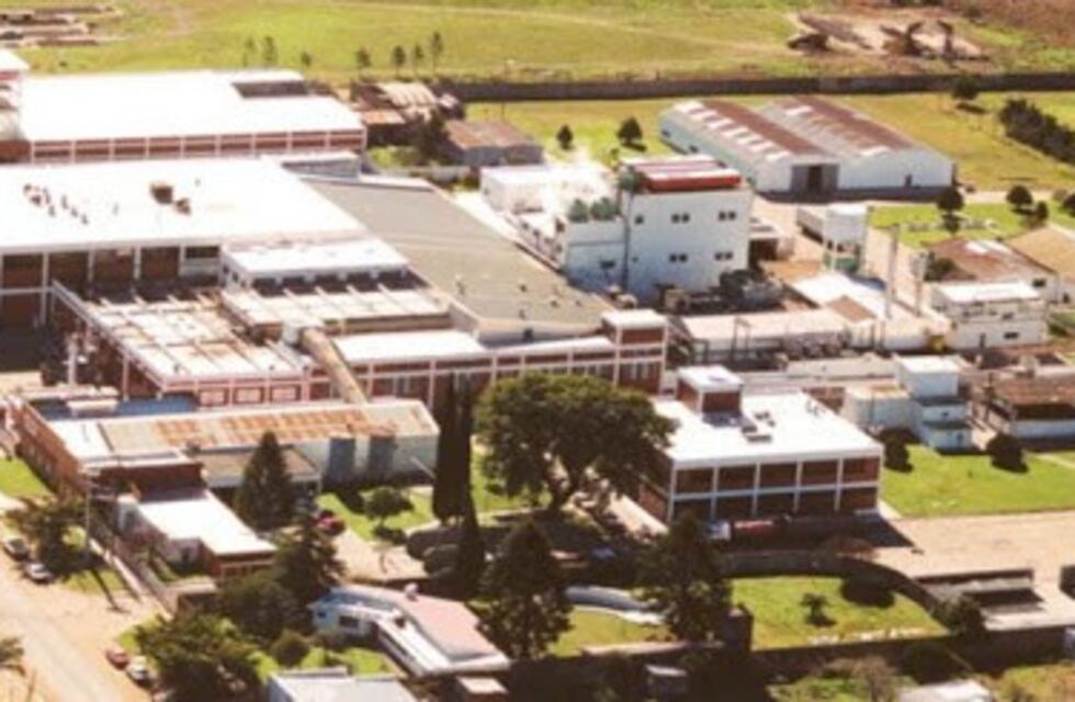 Coronavirus y Economía: San José busca apoyo provincial