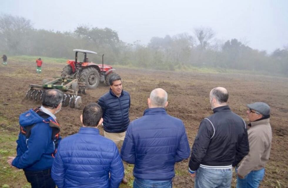 Llevarán adelante acciones para la plantación de árboles en la ciudad