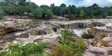 Los restos fósiles fueron encontrados en el Río Panaholma