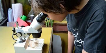 Abren la convocatoria para clubes de Ciencia y Tecnología\u002E