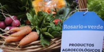 Productores del cinturu00f3n verde ofrecen verduras orgu00e1nicas en una feria en Plaza San Martu00edn.